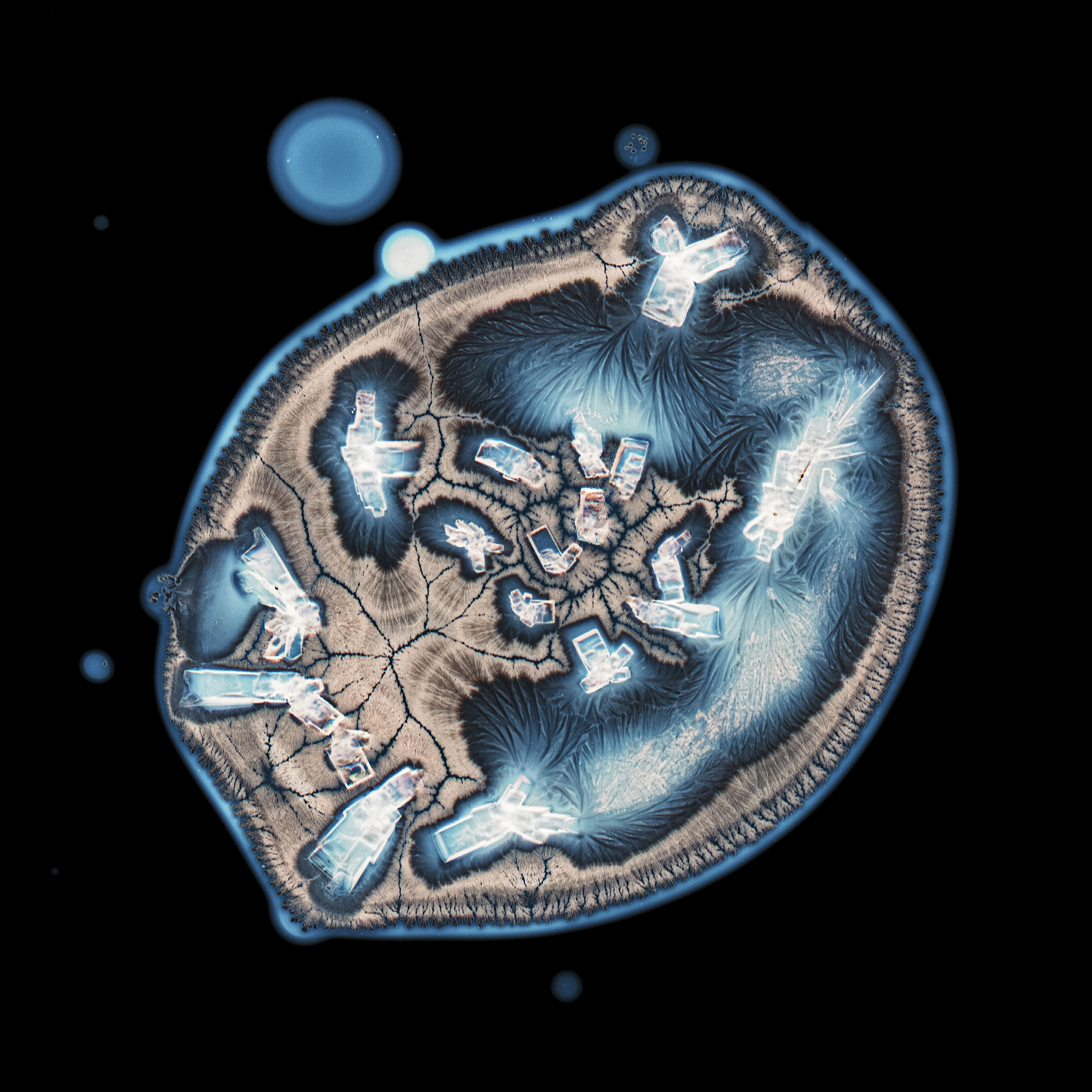 3044064 28 Shortlisted Life On Mars Iv By Charlotte Greenwood