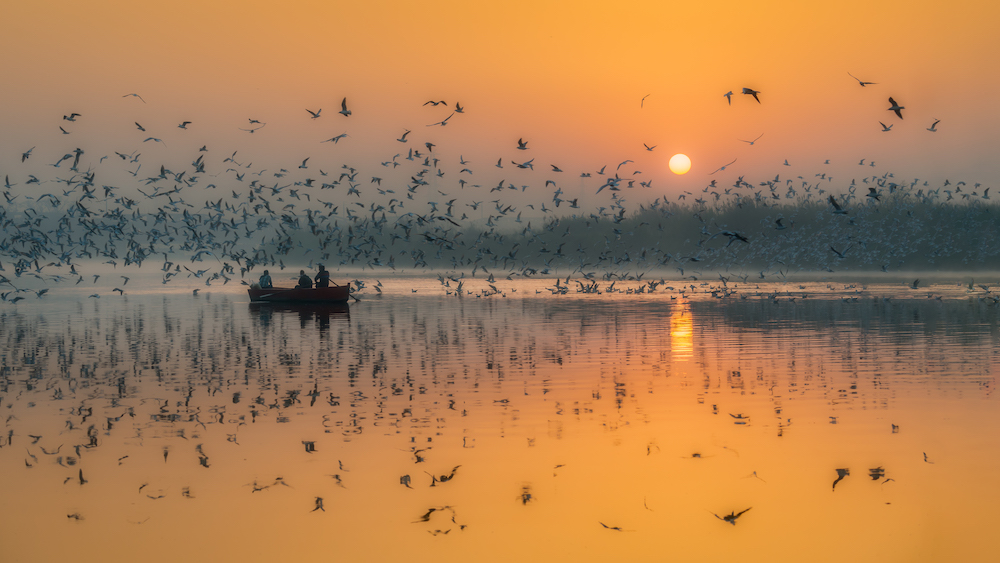 Web Yamuna Ghat Delhi