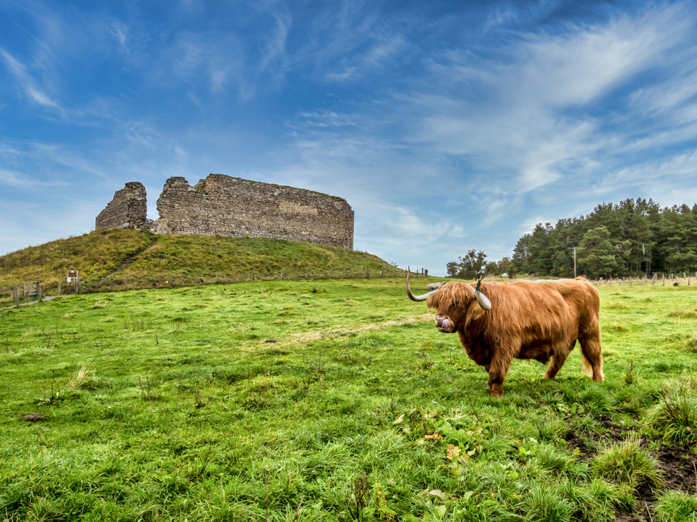 Castle Roy, Cairngorms, Scotland by Allan Hartley