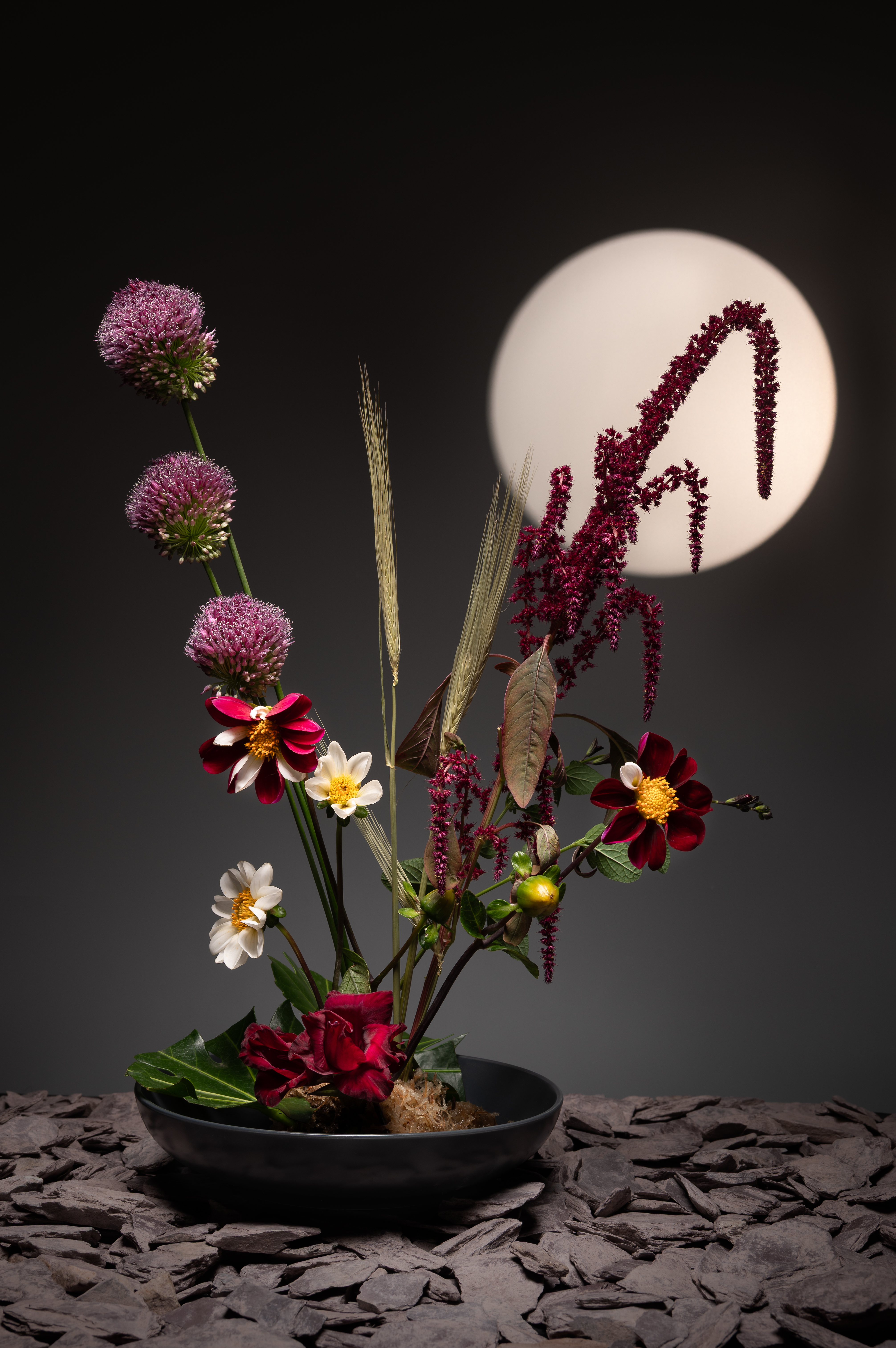 Sabine Tillie Davidson (#498637F)