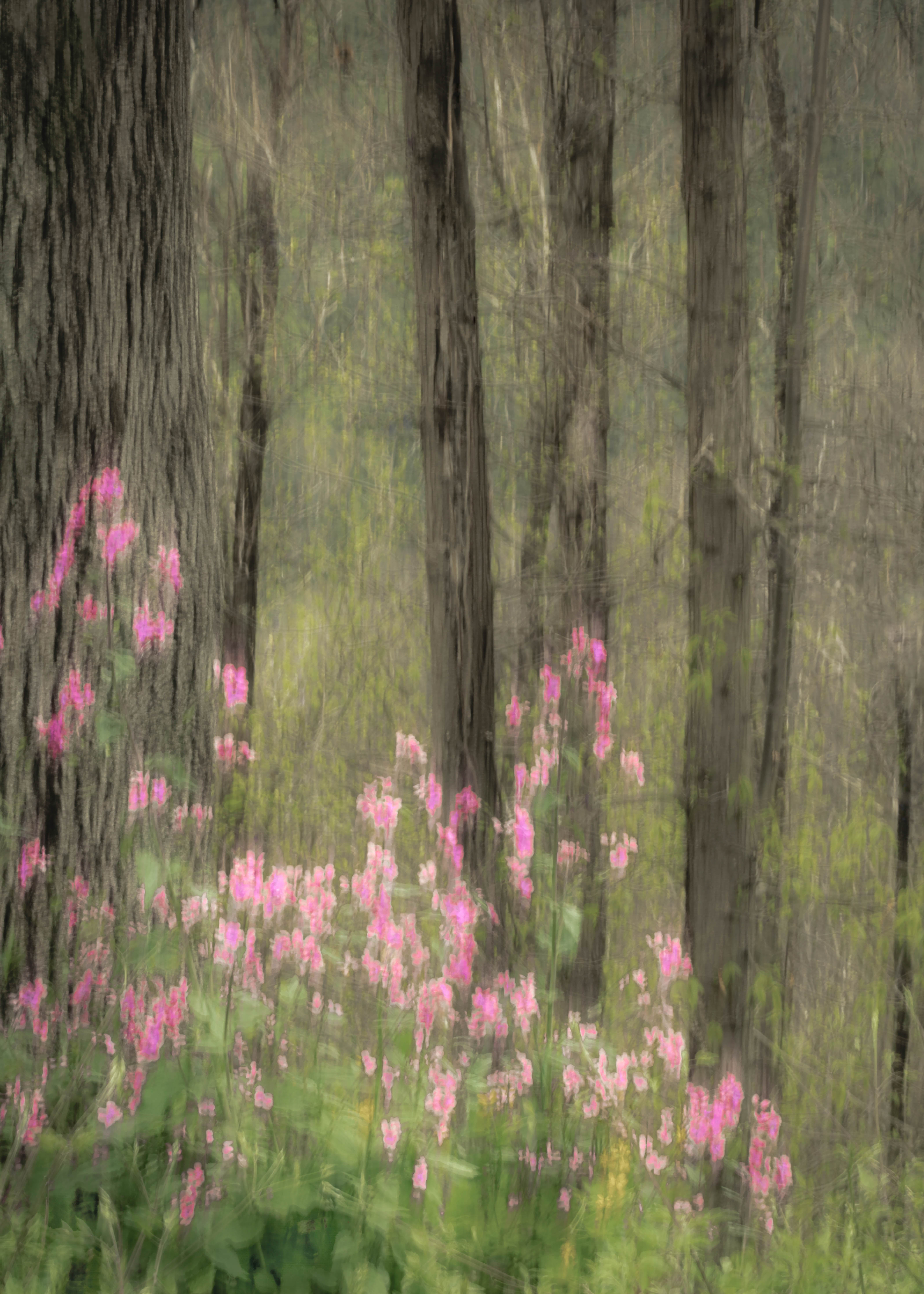 RPS Licentiate Presentation Panel 01