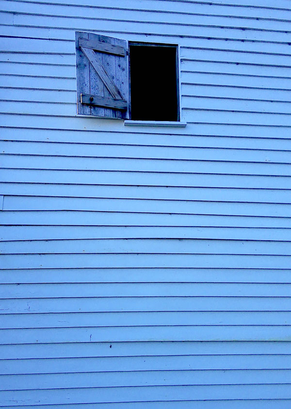 Max, St Mark's Junior School