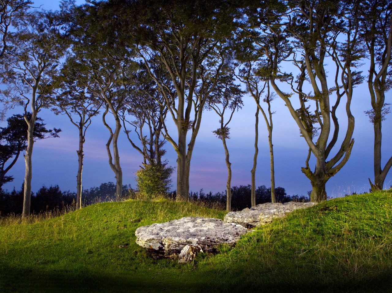 Minninglow 1 Nicklockett