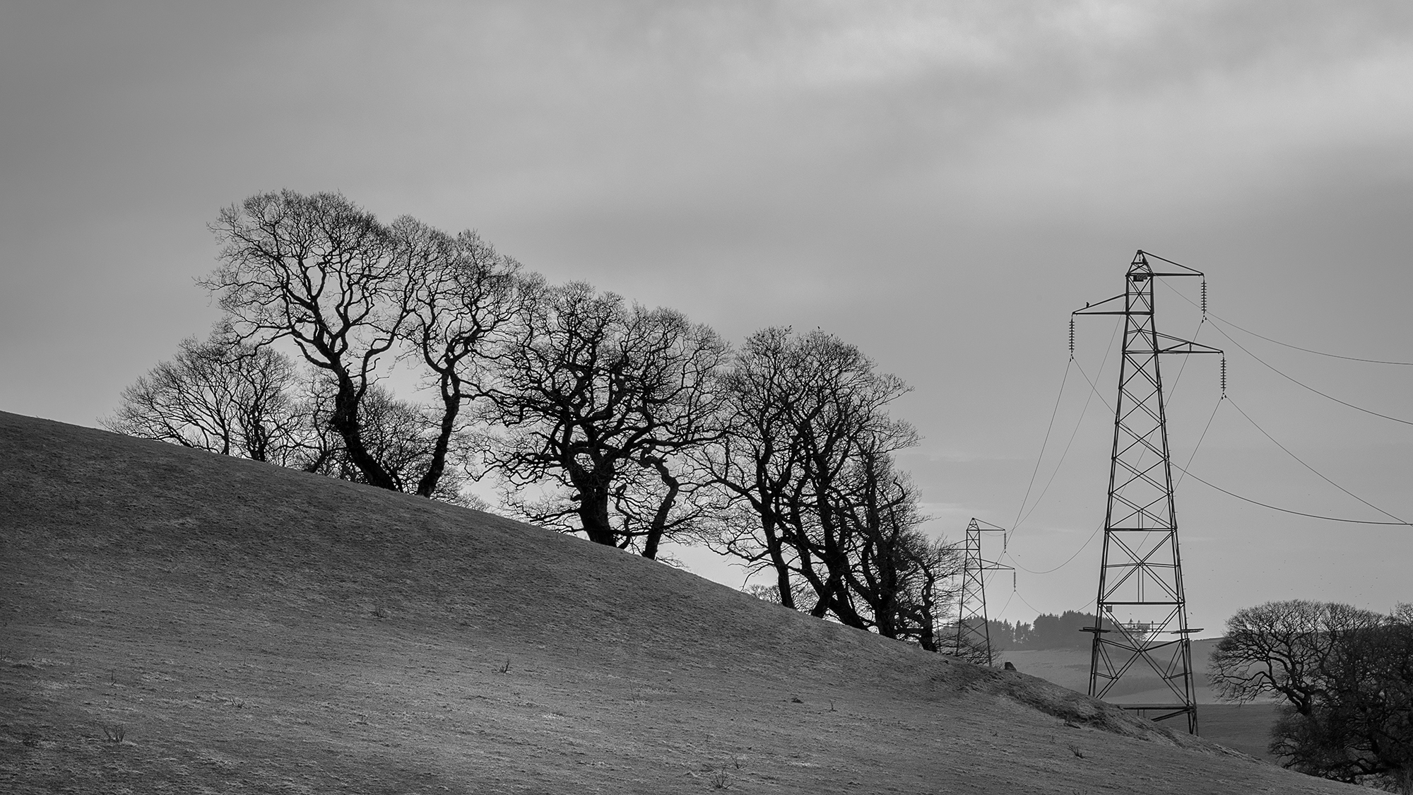 55N 4W, Dumfries & Galloway By Jean Robson