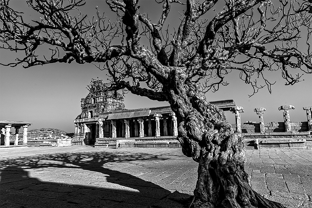 Vittala Temple At Hampi, Karnataka India by Dr LP Koratamaddi