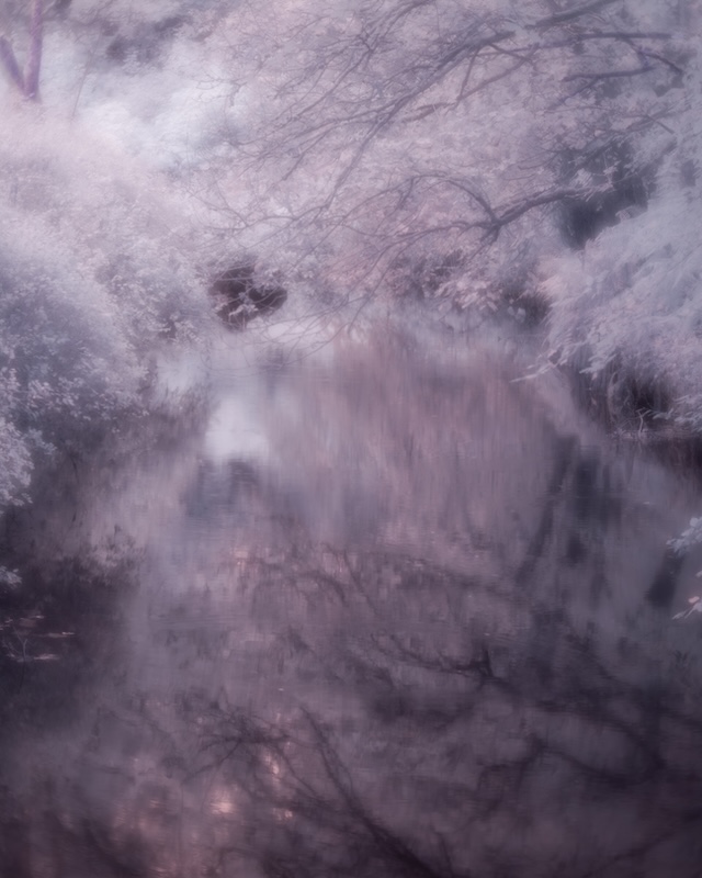 2510 Eva Mcritchie Whispering Stream For Web