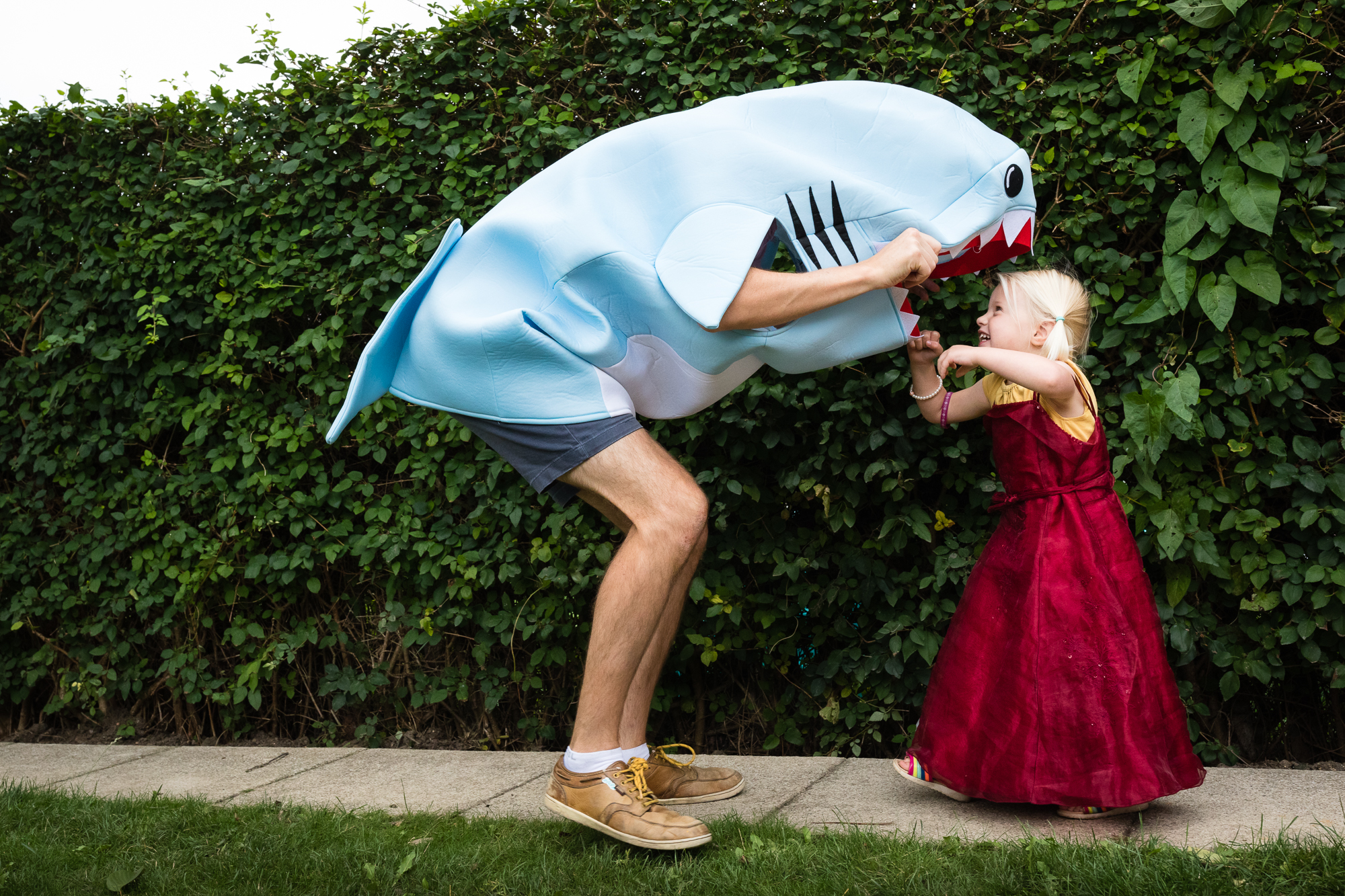 The Princess And The Shark by Alice Chapman