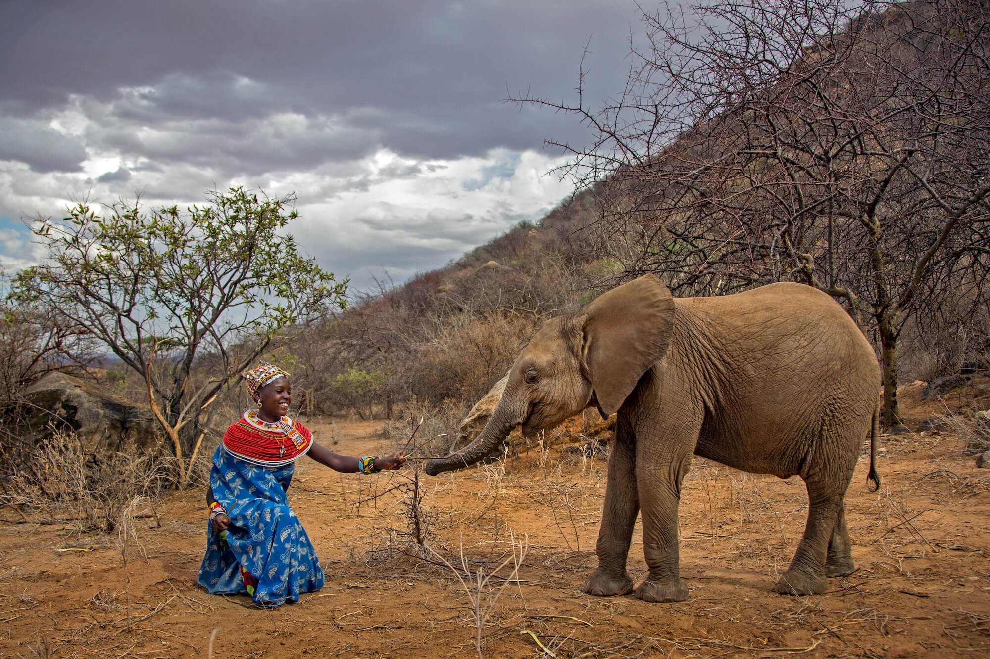 Georgina Goodwin Naltwasha Meets Shaba