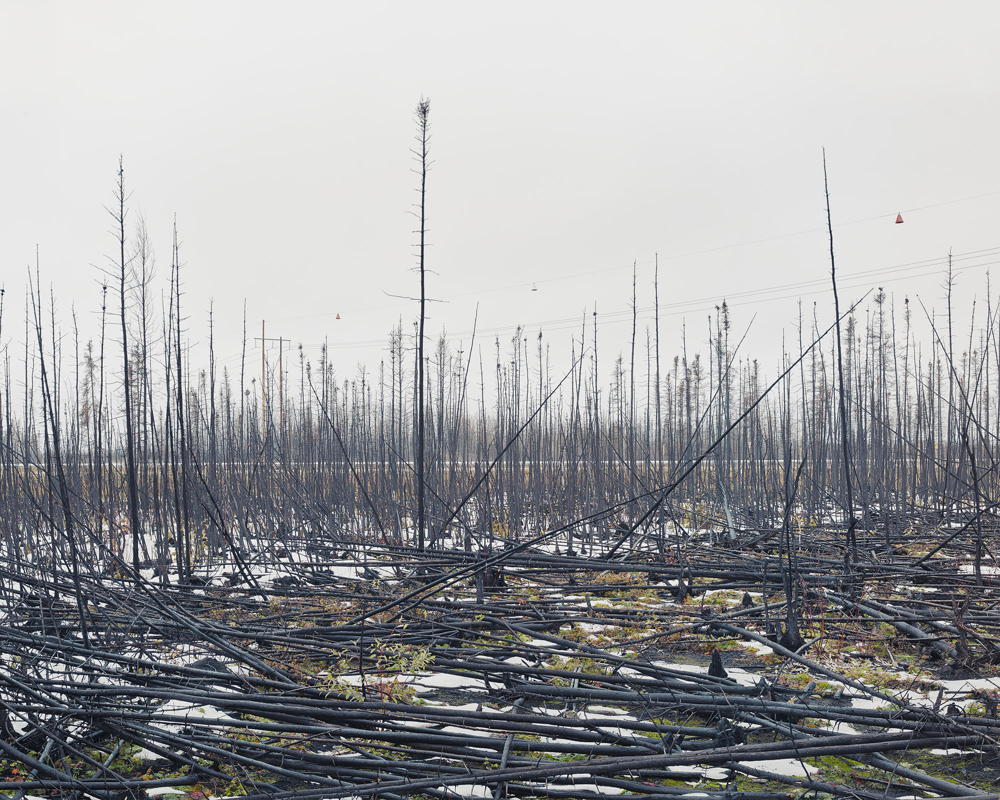 12 Alan McFetridge Postgraduate TPA/RPS Environmental Bursary 2016