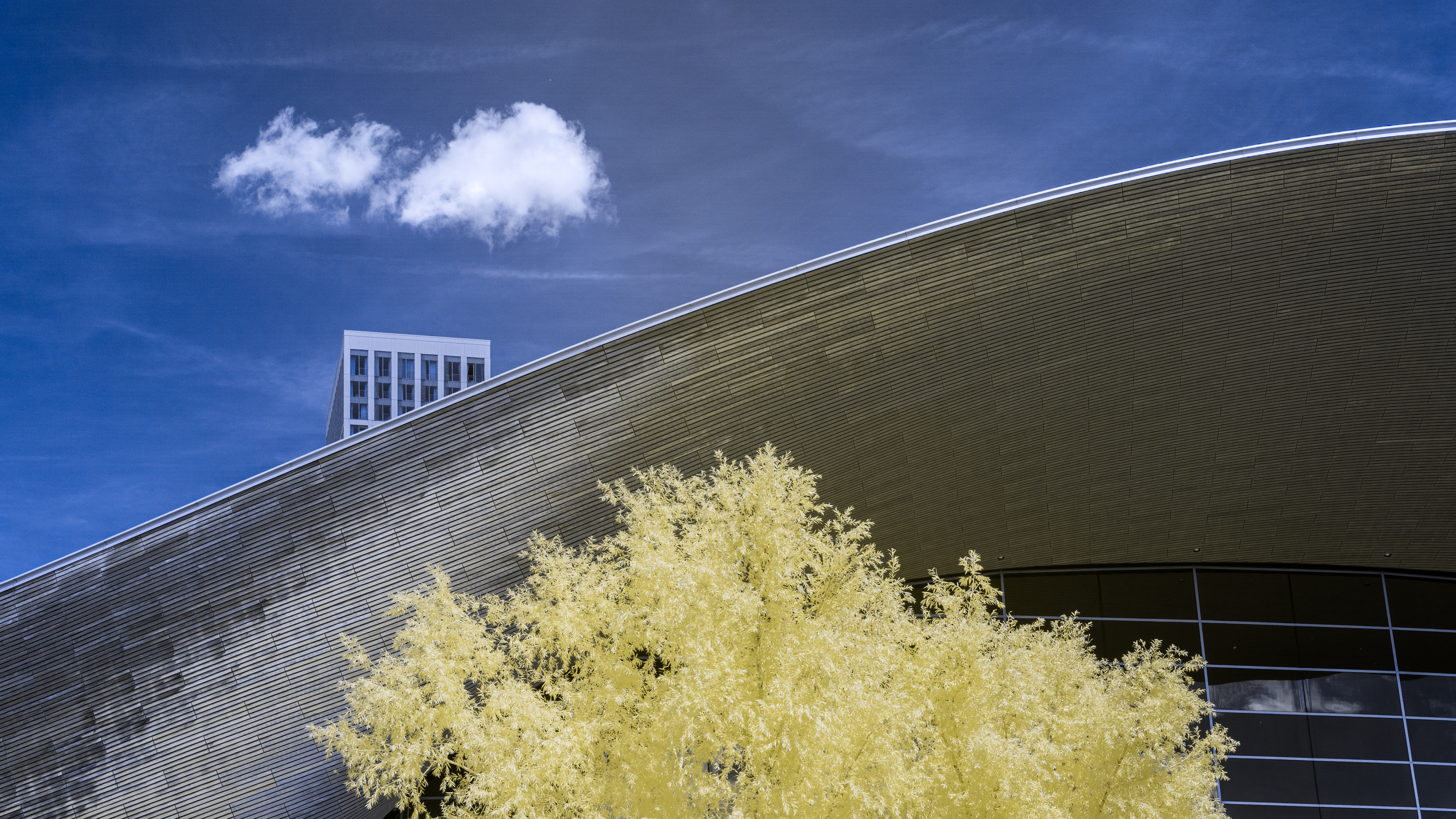 London Aquatics Centre By Martin Tomes