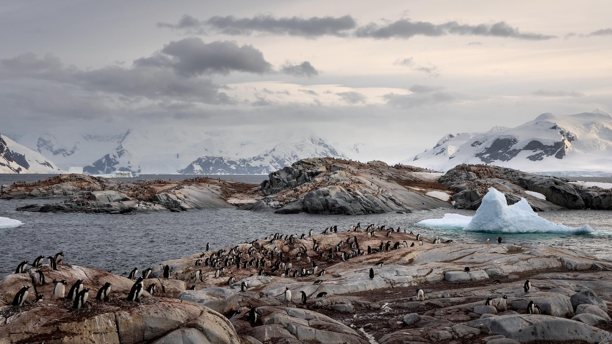 At Home On Useful Island Jean Robson FRPS