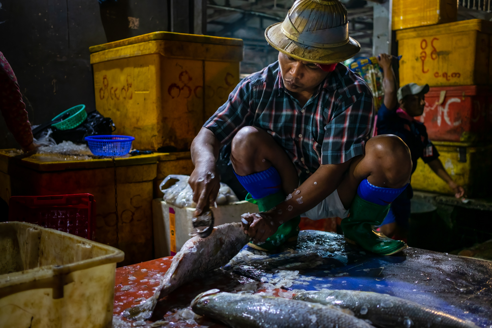 Fish Shaving, San Pya Fish Market, Yangon, Myanmar by David Huggett