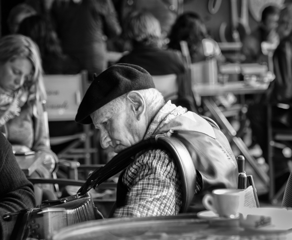 The French Accordion Player