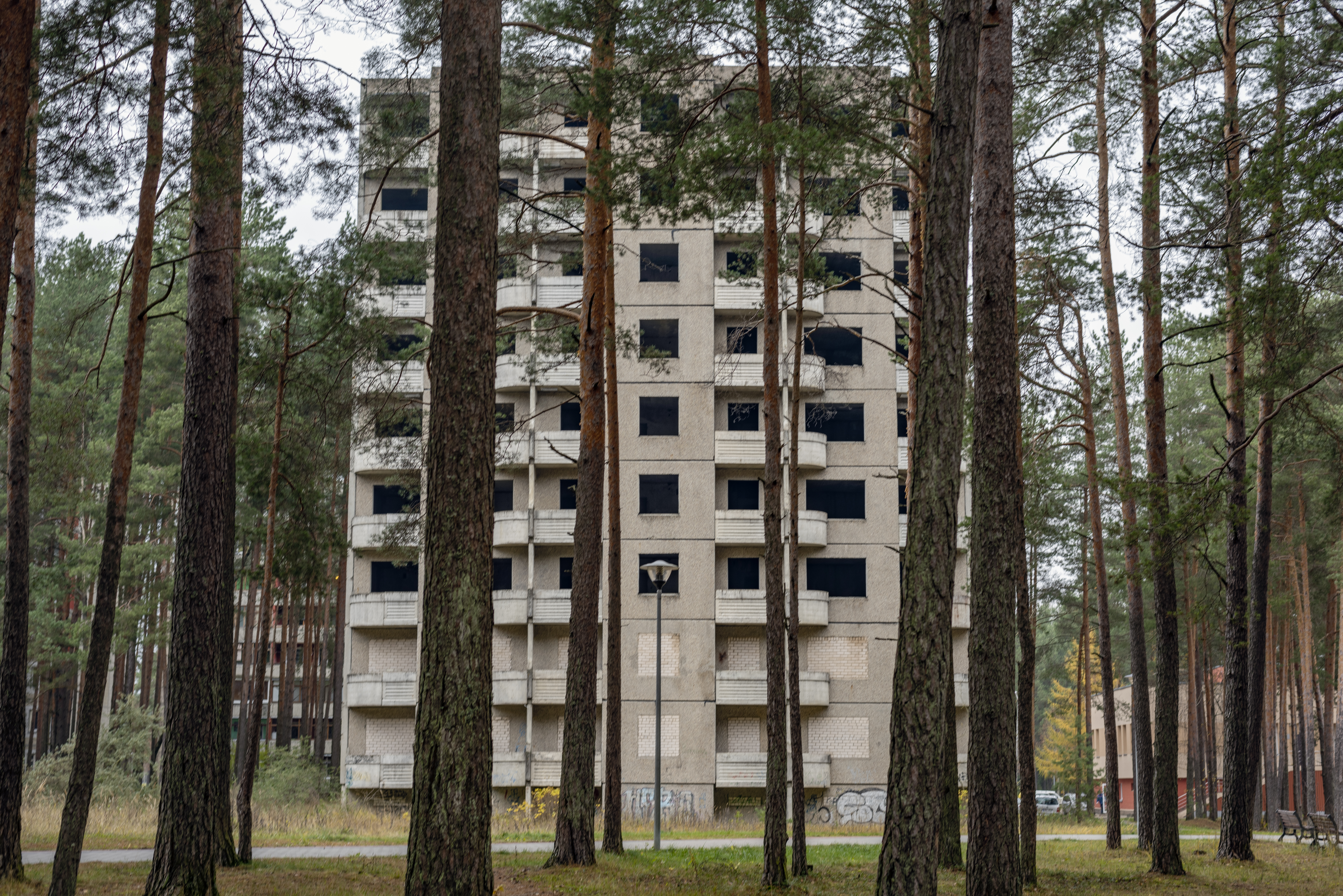 Pprashant Radioactive Butterfly 12