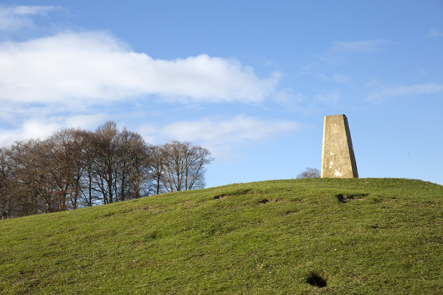 Danebury Hill