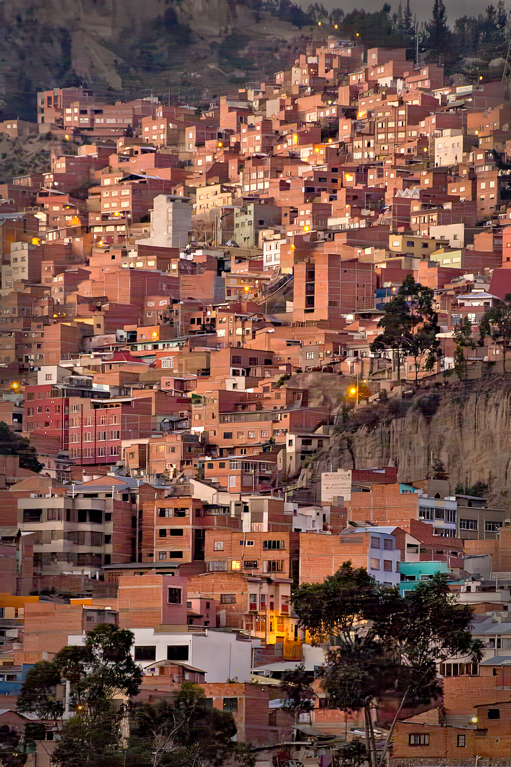 La Paz Hillside Bolivia by Rob Morgan