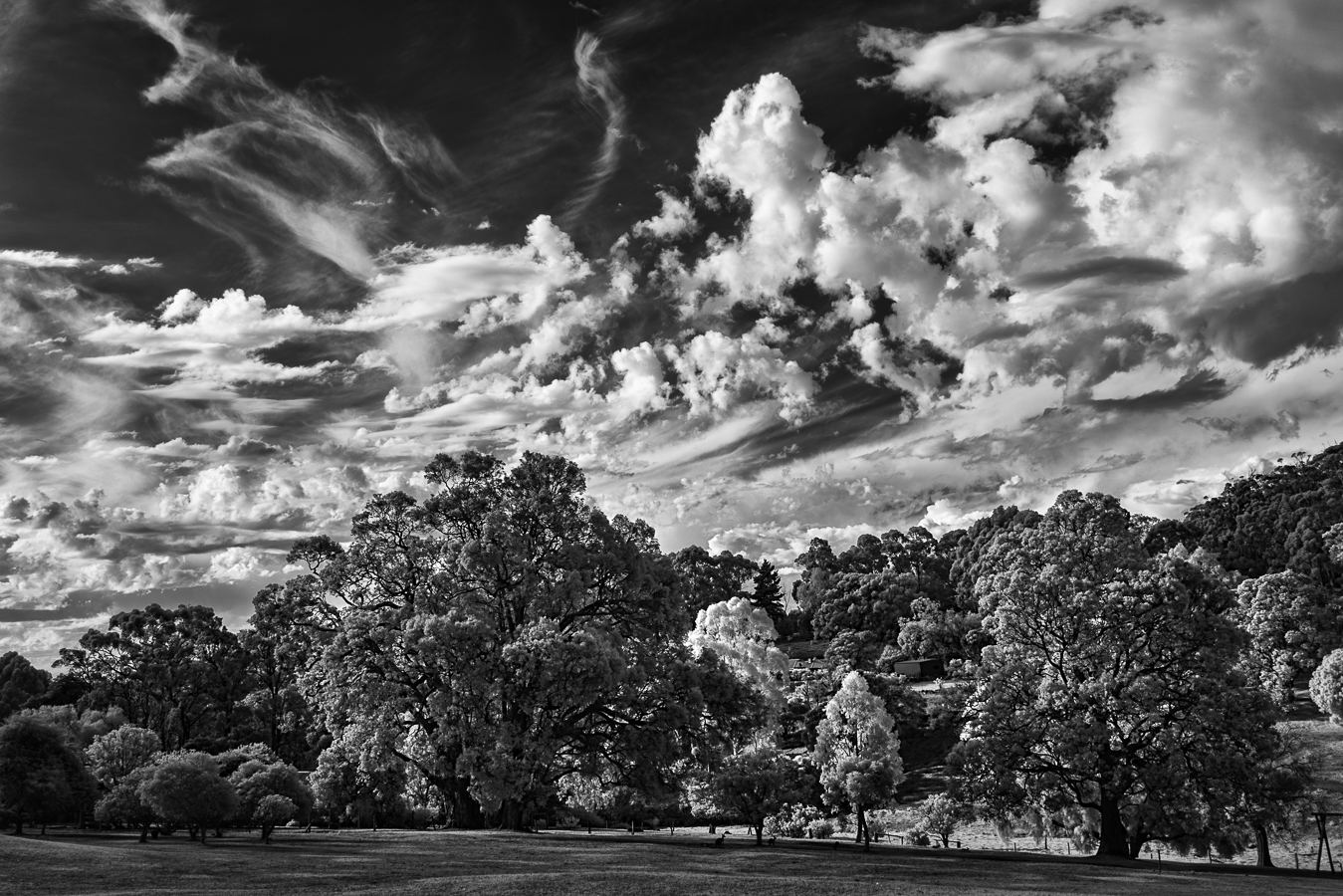 Thunder On The Way by Bryan Timmons (Australia)