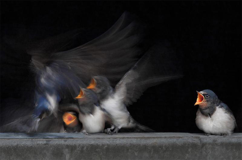 Bruce Deacon LRPS Image 10