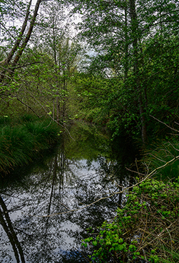 Gerry Phillipson ARPS Card 07