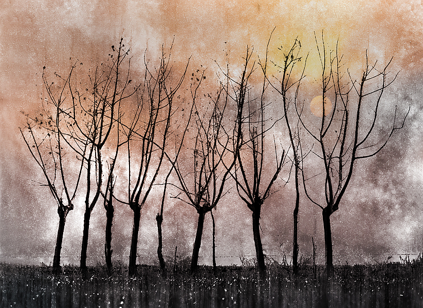 The Last Leaves At Sunset By Valerie Walker ARPS