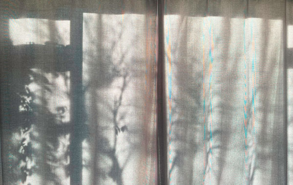 Eden, Ringwood School