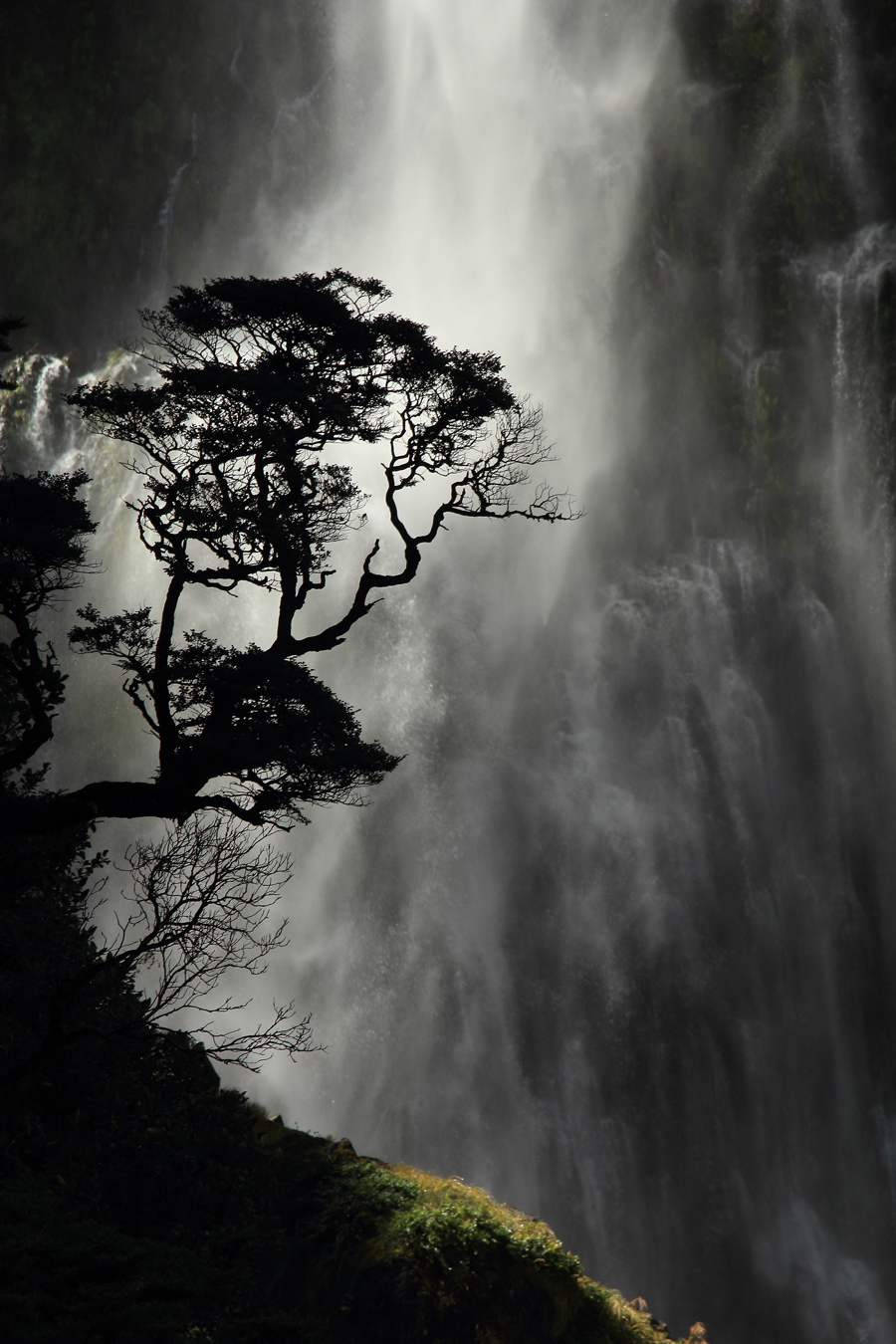 Waterfall Silhouette By Wynston Cooper ARPS (New Zealand)