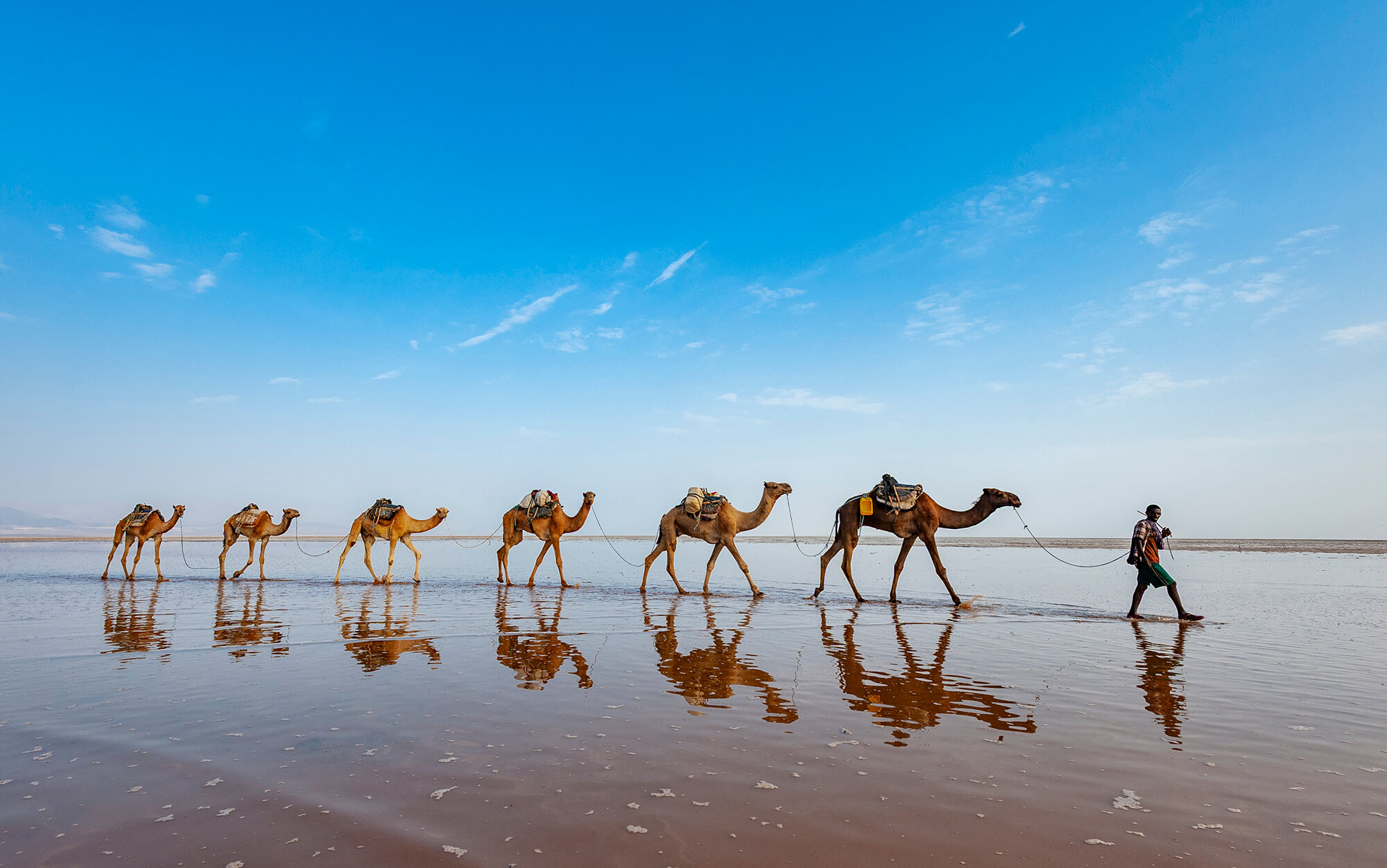 Credit Shem Compion. The Rift 16