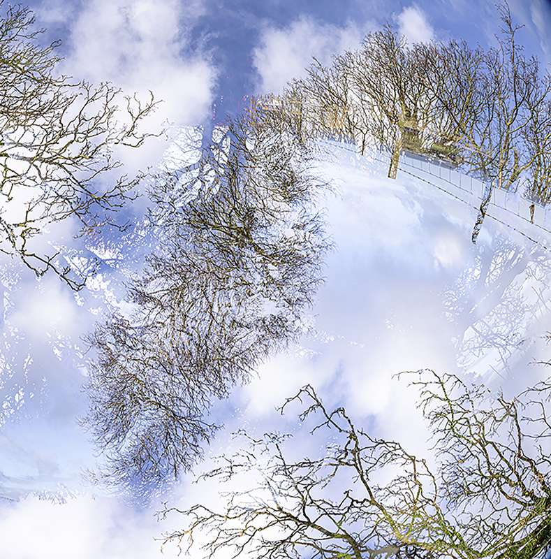 1225 Sheilajones Winter Day For Web