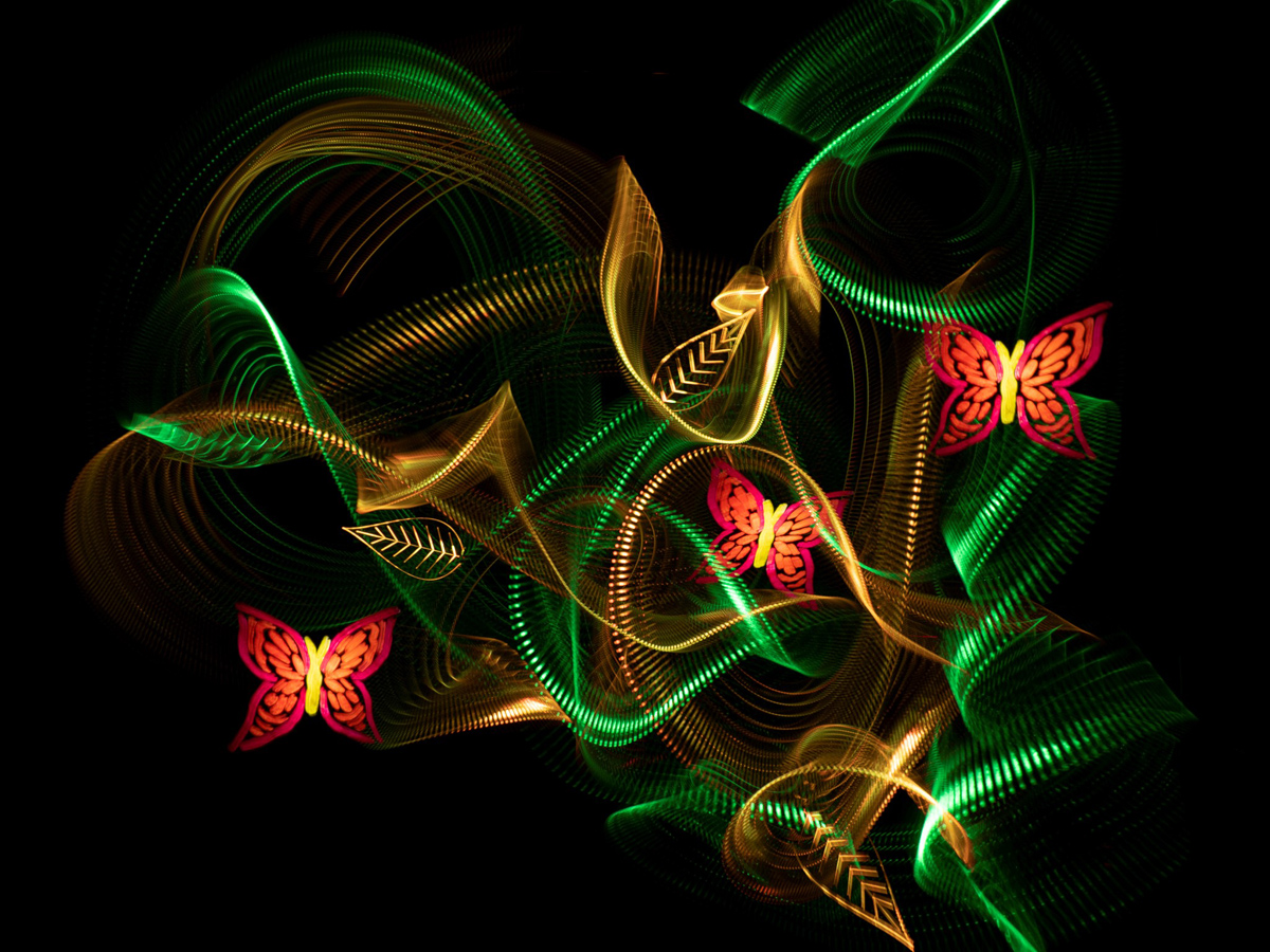 Michelle Esssenson Butterflies