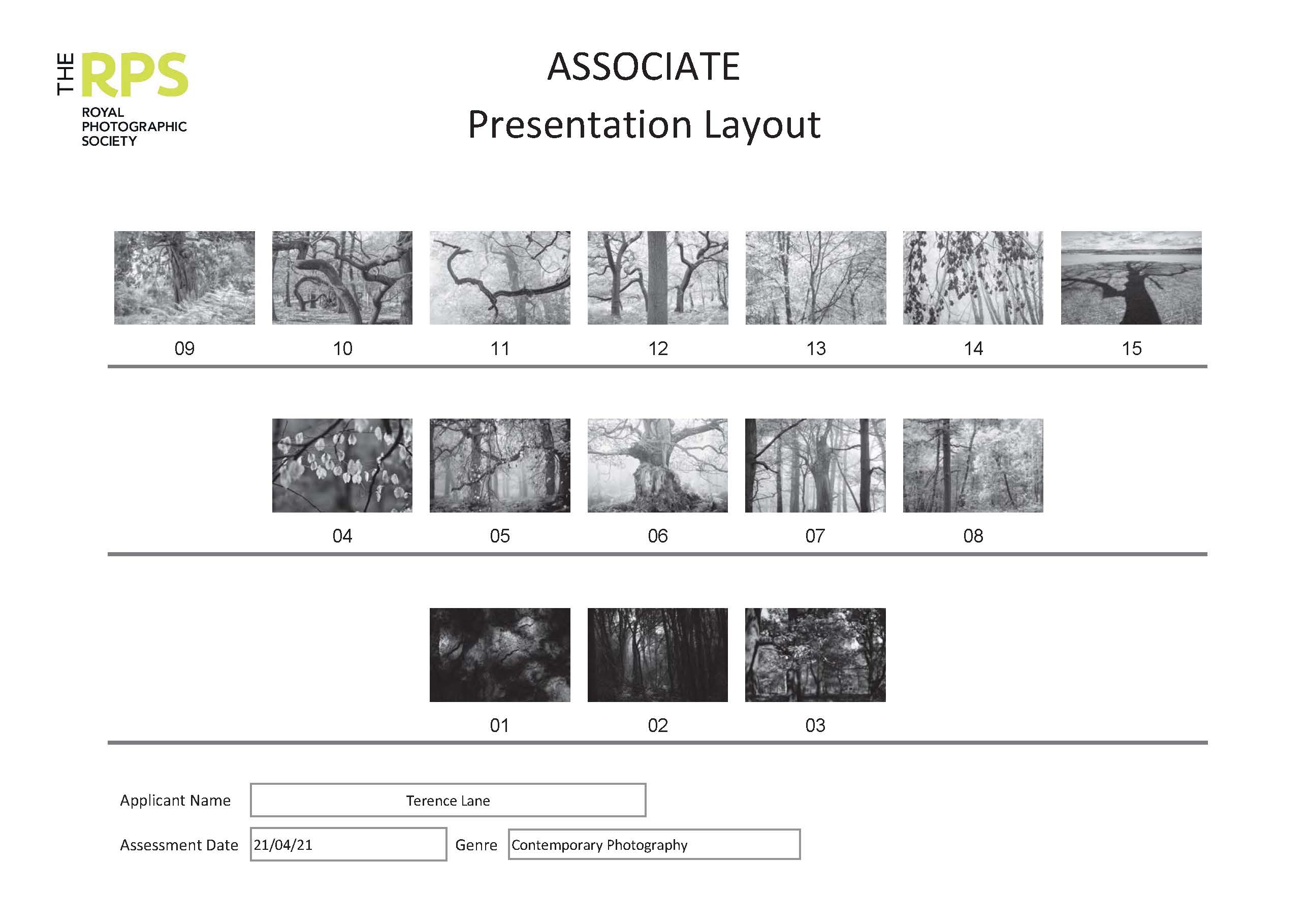 T.Lane Presentation Layout