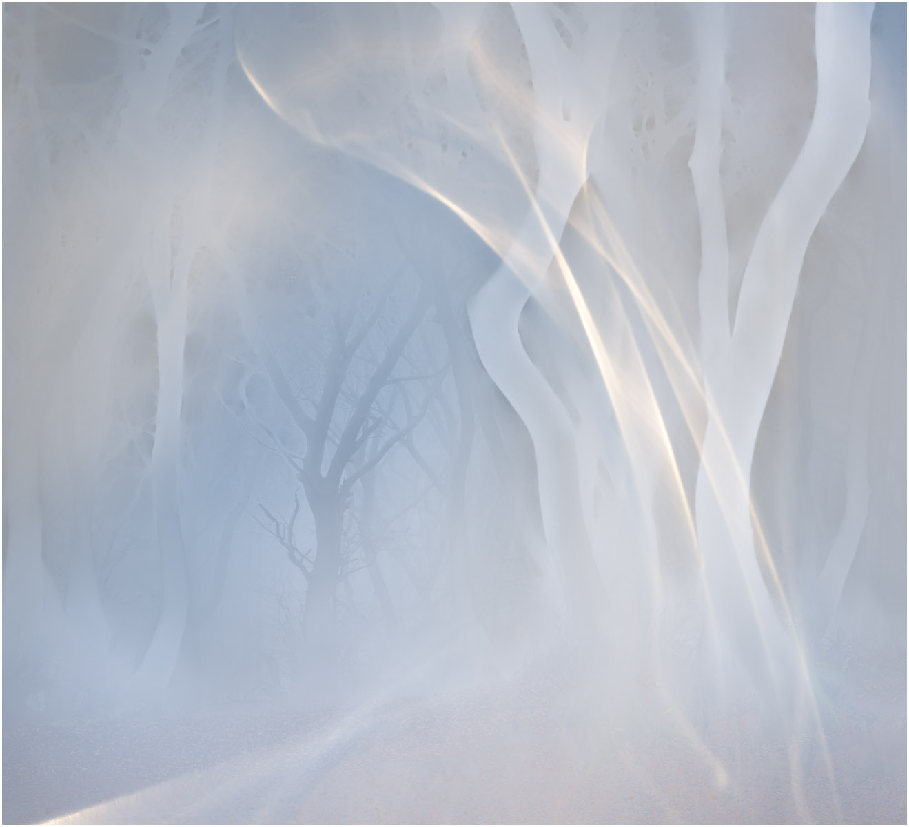 HC Ragnarok By Jan Harris ARPS