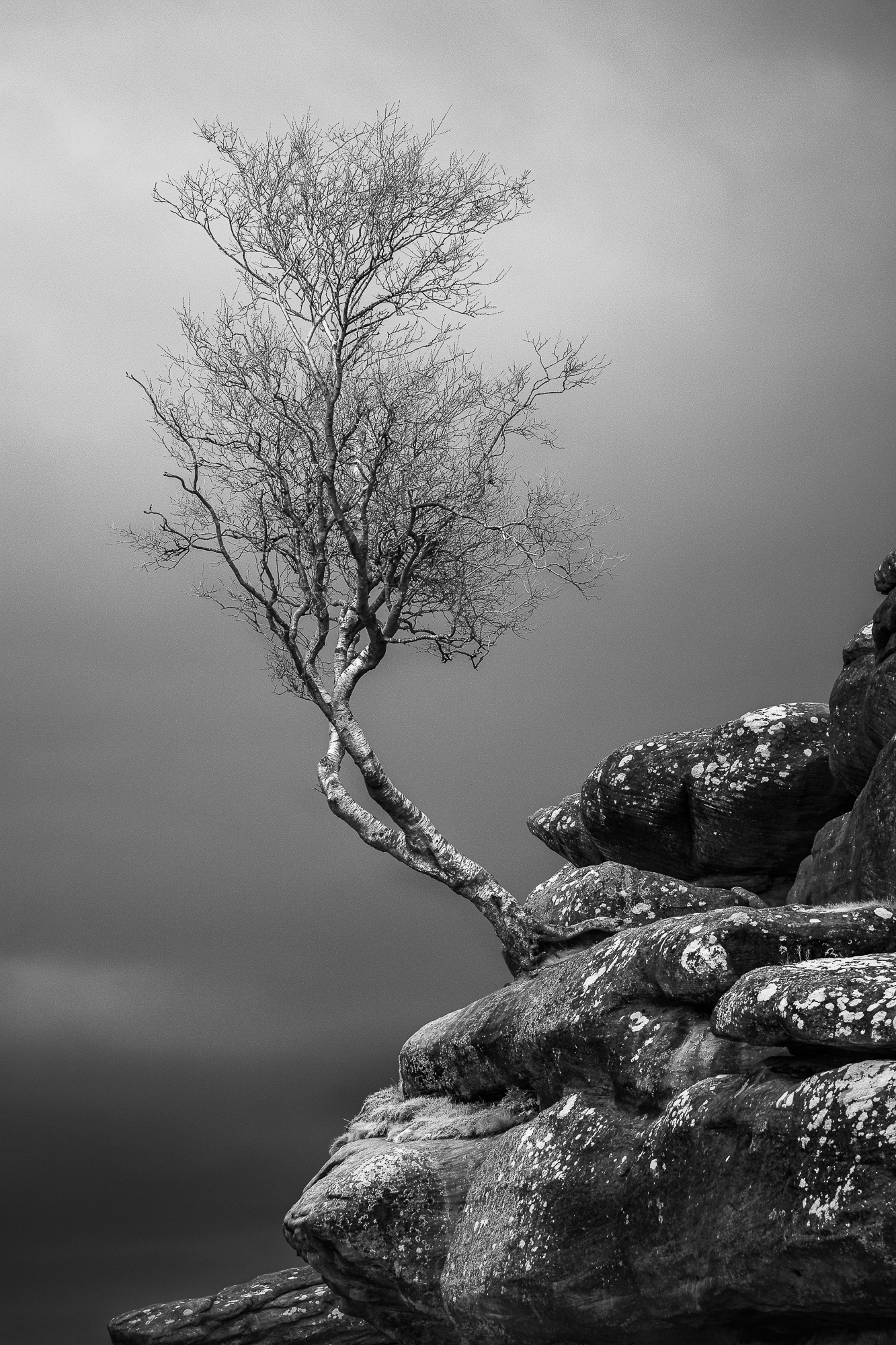 Tenacity Ade Gidney FRPS