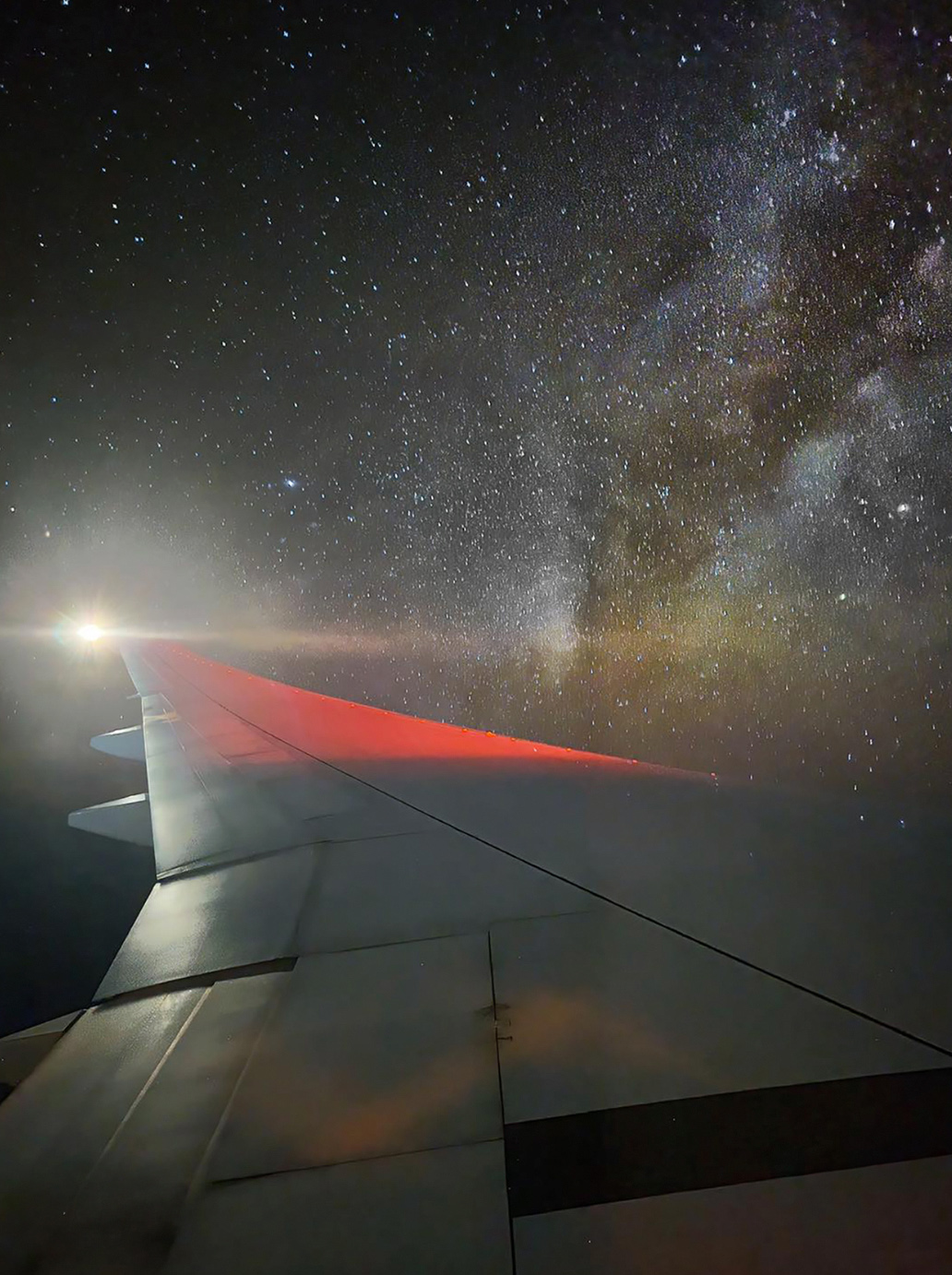 Scarlet Wing Under Starlight