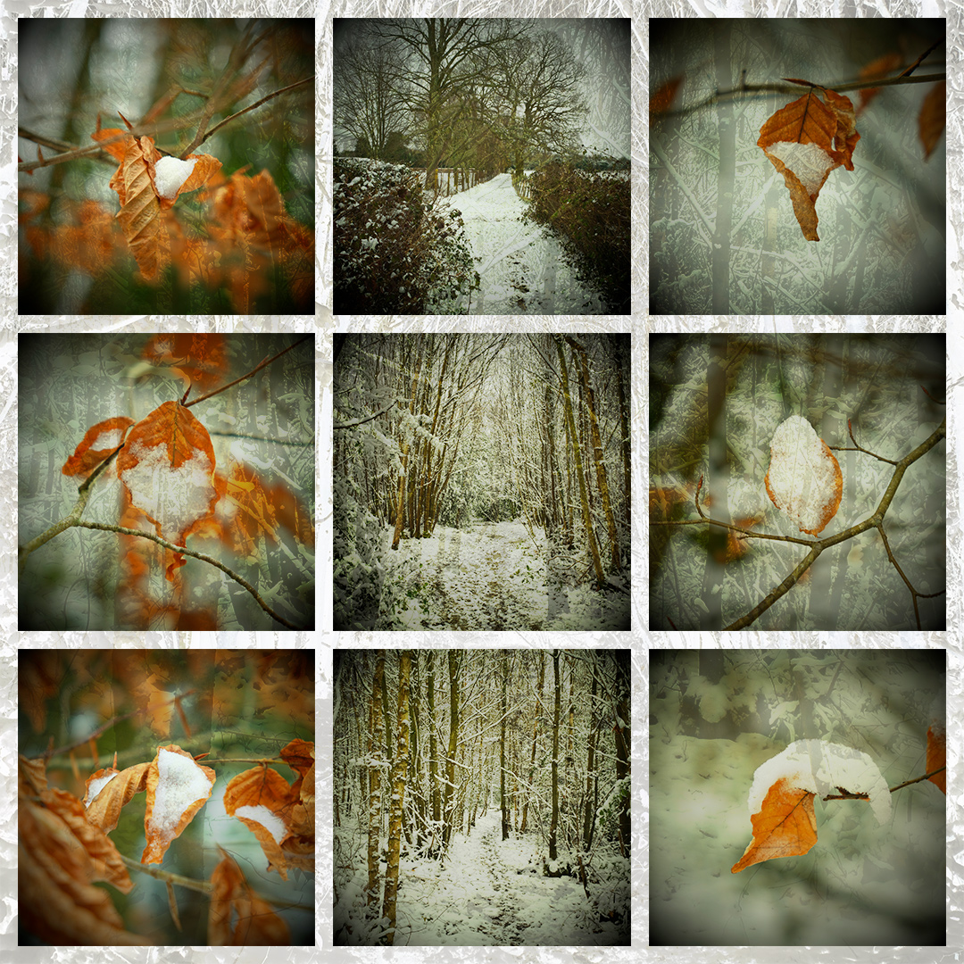 Into The Woods With Overlay