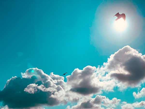 Emmeline, St Mark's Junior School