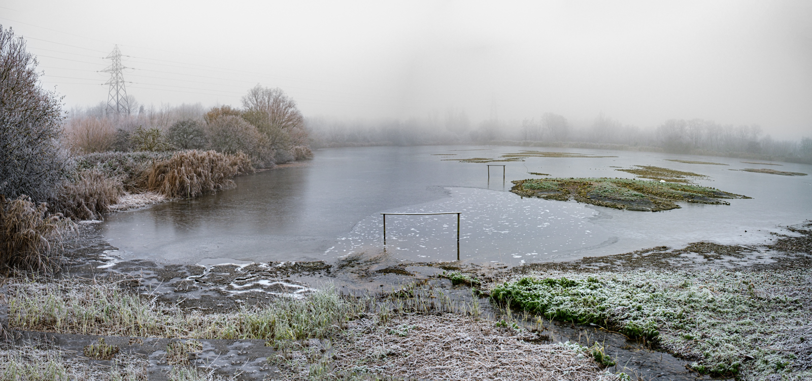 Rye Meads By Ann Miles