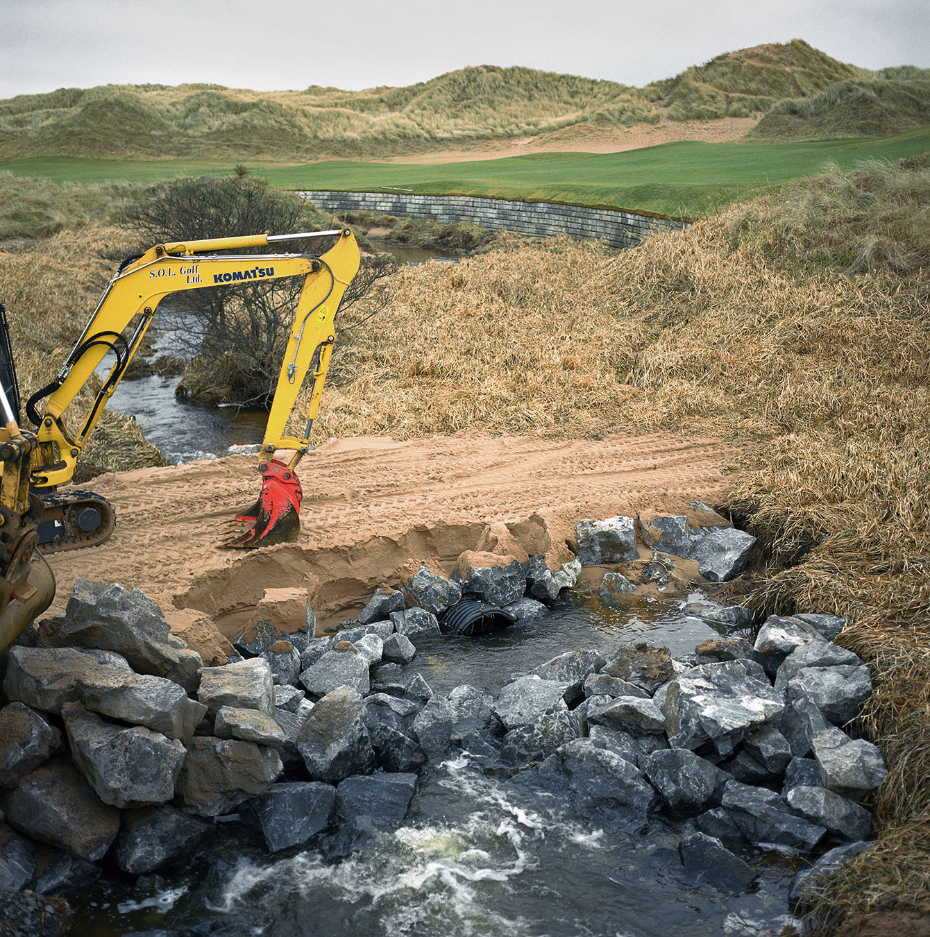 Aliciabrucemeniedaylight (9)