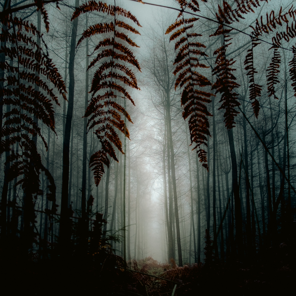 TSP 20221201 151913 22165