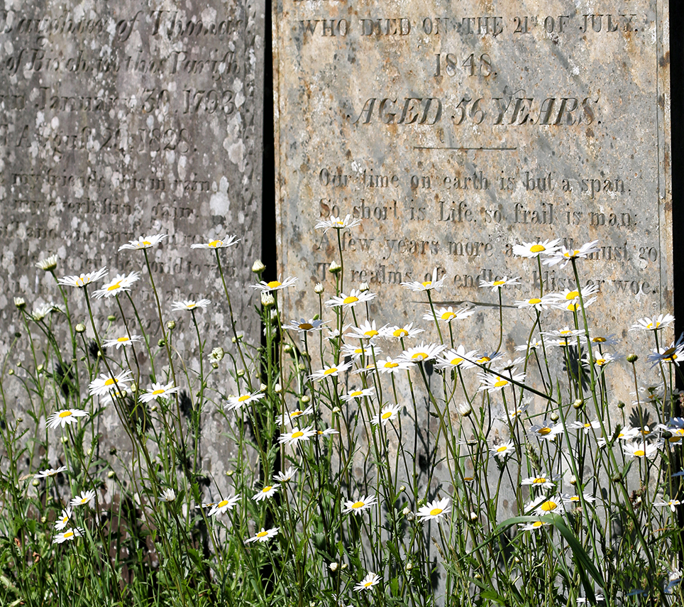 Poignant Lockdown Walk A Parsons