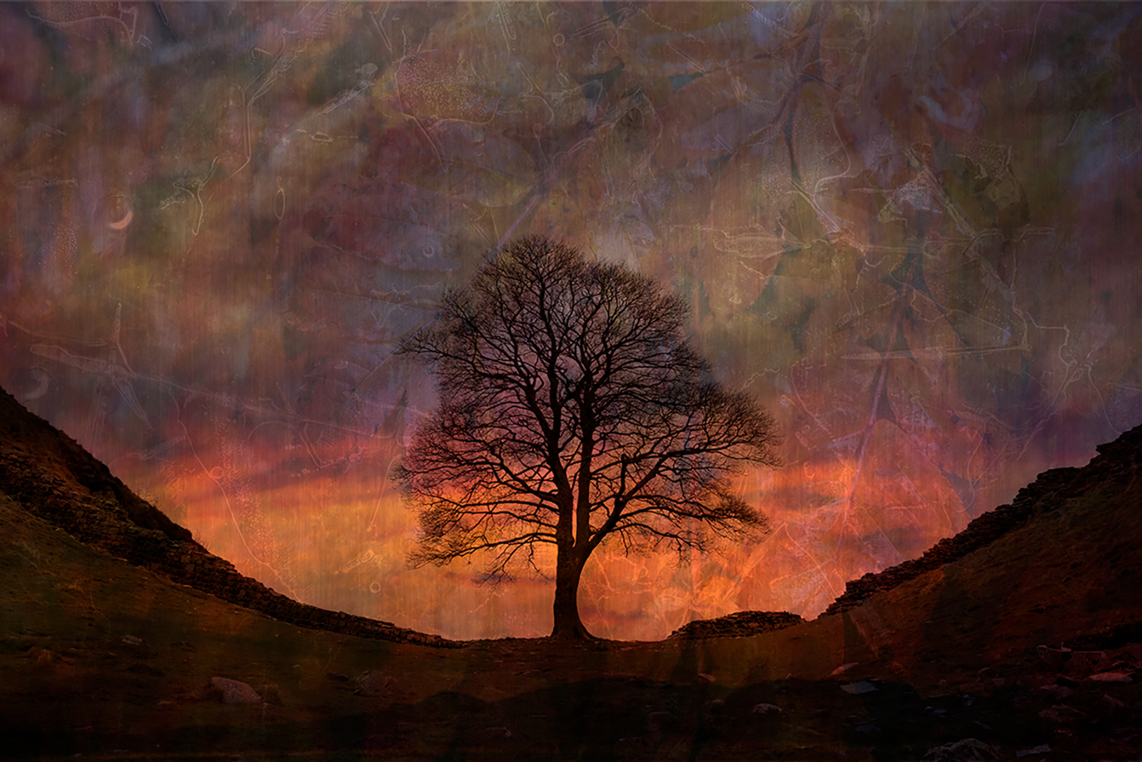 7. Sycamore Gap by Rhona Duggan LRPS