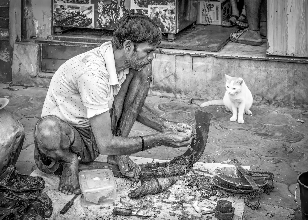 At the Fishmonger, Kolkata, India by Jo Court
