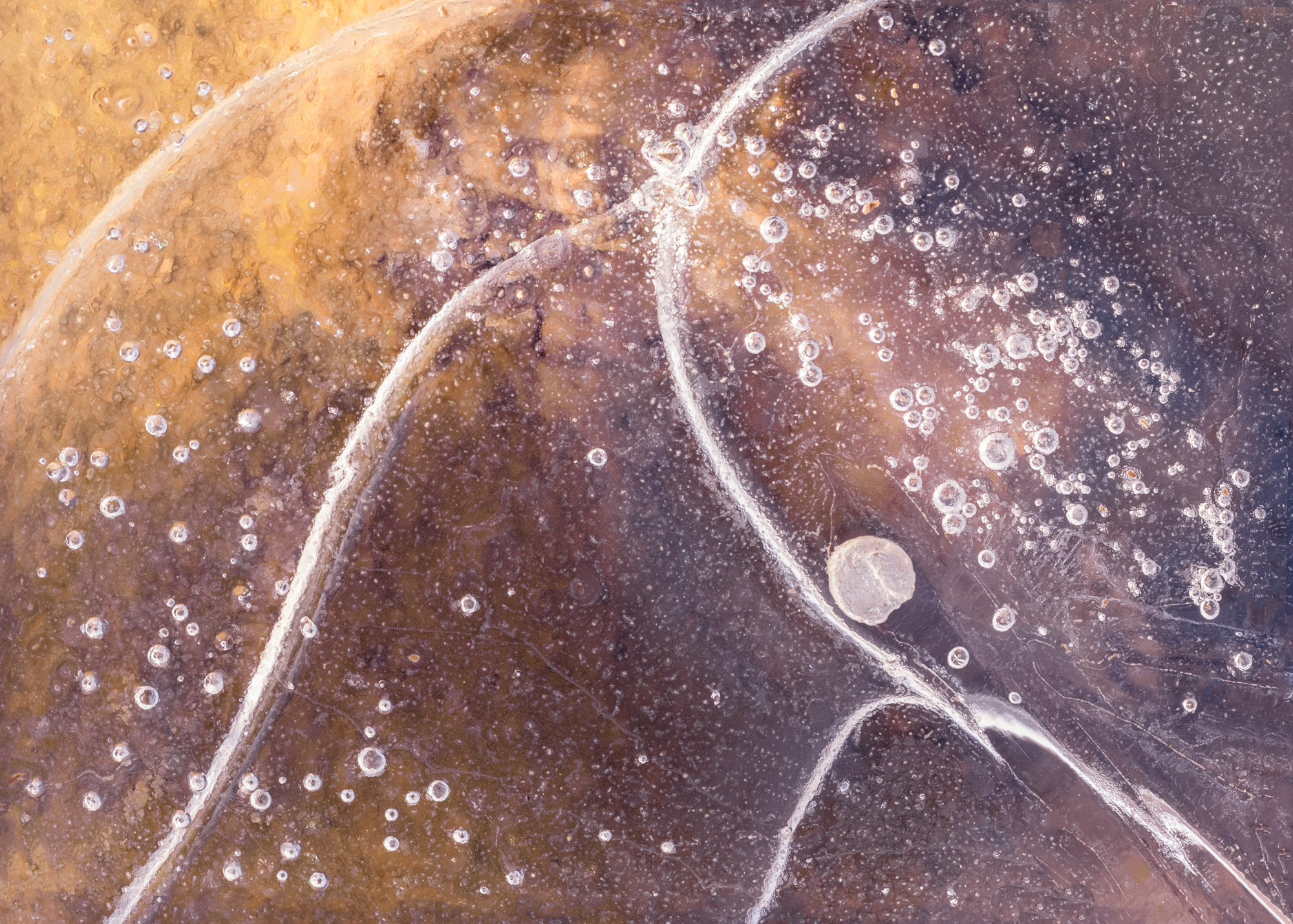 Yvonne Green LRPS Print 09