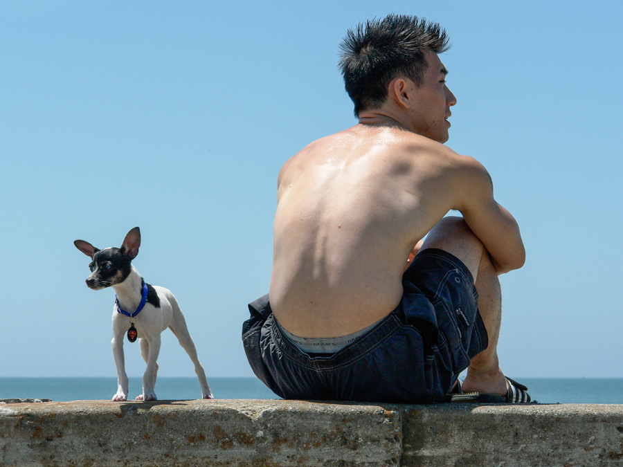 Man With Dog By Ton Van Der Laan LRPS (The Netherlands)