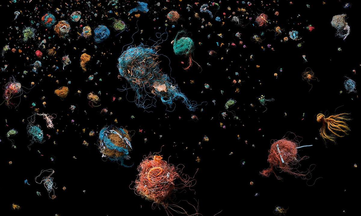 Mandy Barker LOBBY1 SOUP BIRDS NEST