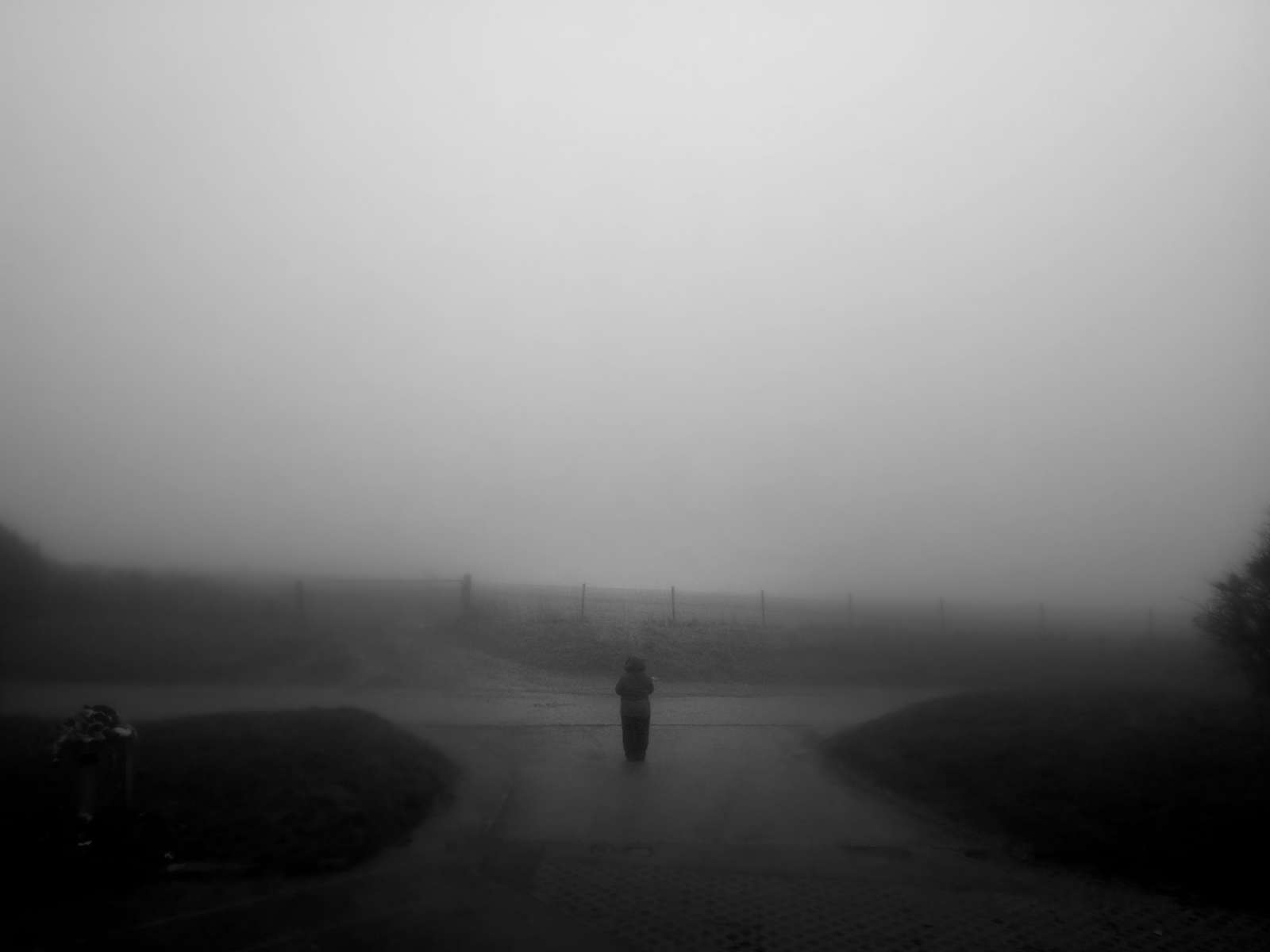 Dji Fly 20241229 163028 234 1735502499955 Photo