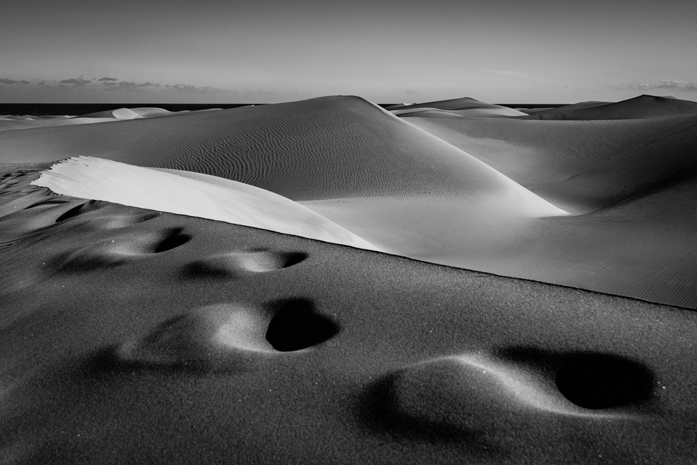 Echoes Of Light And Sand Monica Mackie