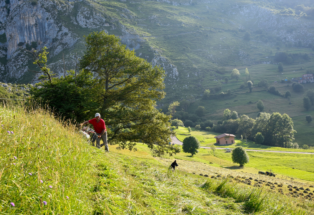 Hay Harvest, Spain by Jo Court
