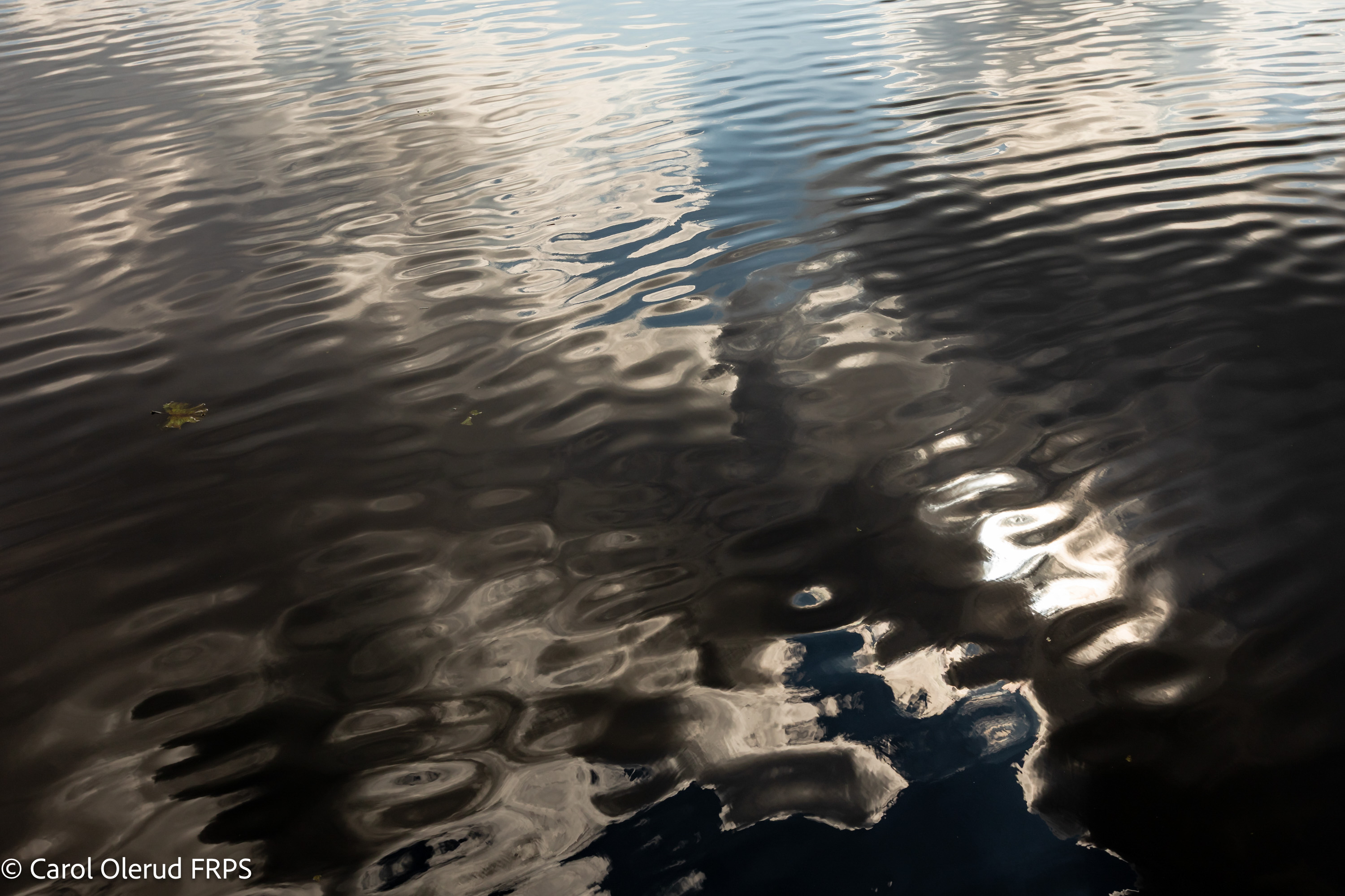 TWT Inland Waters © Carol Olerud FRPS 03