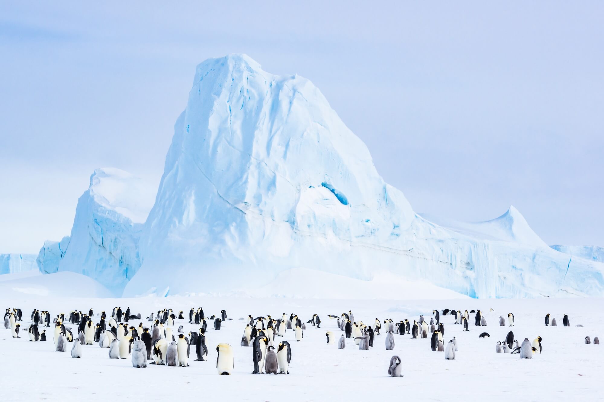 Stefan Christmann The Sentinel