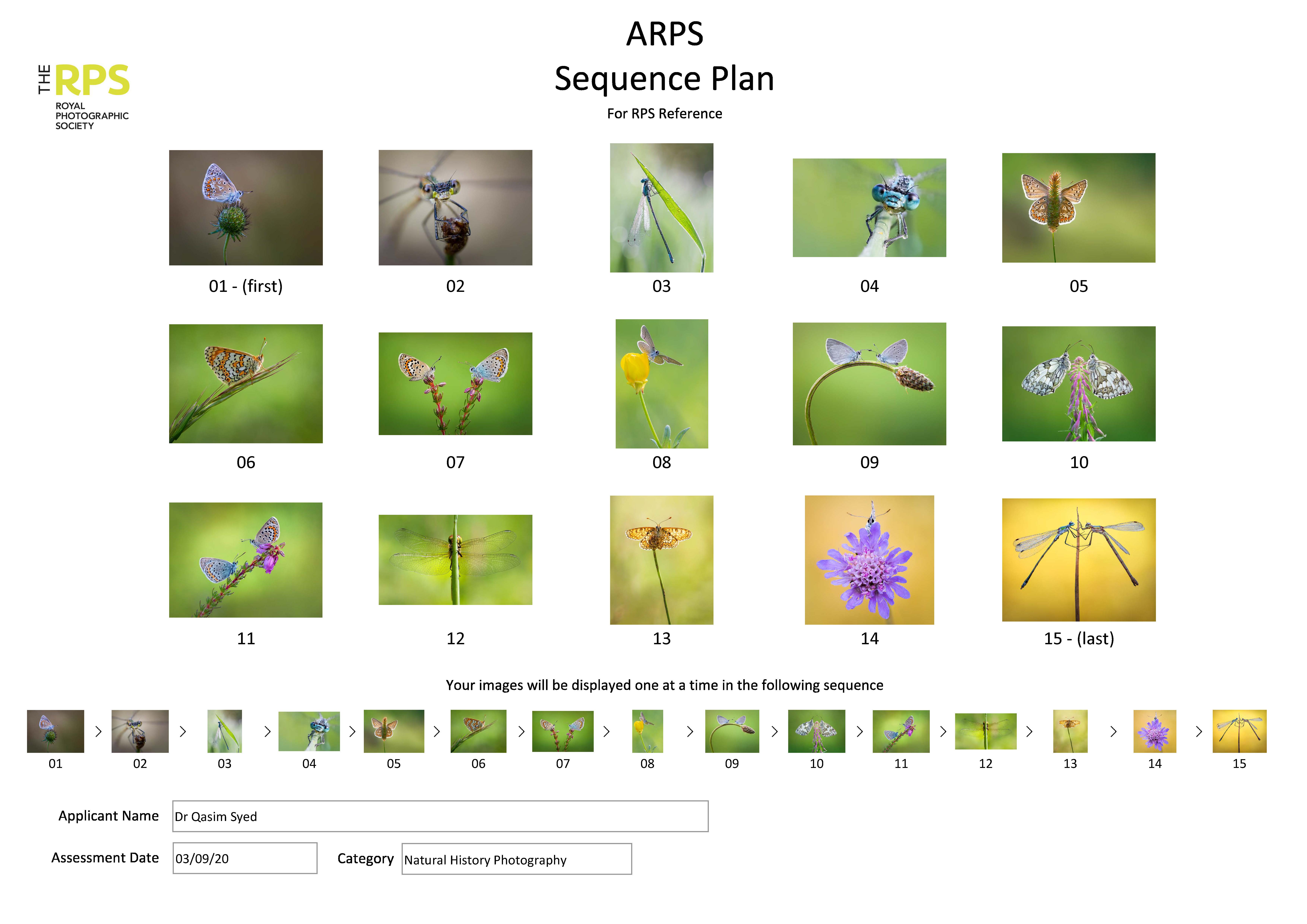 Sequence Plan